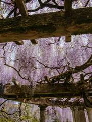 삼각관계 (완결)