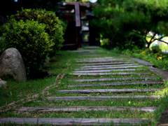 [슌우키]장밋빛 오솔길