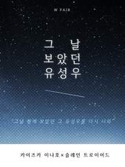 그날 보았던 유성우