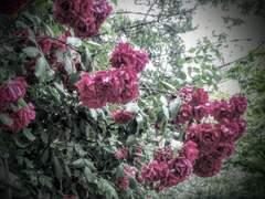 녹슨 시계의 회상 02