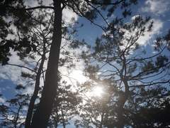 [국뷔]Luce Sicut Stella 03