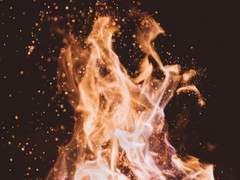 이디스 카르스텐