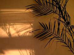 2 ㅡ ごめ、愛してんだ。