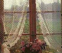 라스트 카니발 pt.0