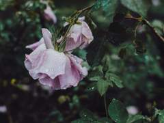 [나엠에세] 우산 속으로 들어와줘