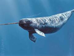 [명우유진] 그런 고백이 어딨어