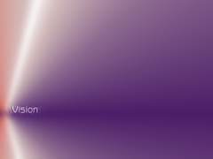 Vision