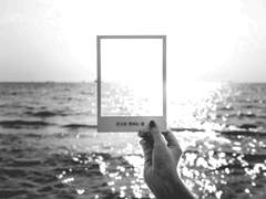 손으로 전하는 말