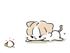 호기심 많은 고앵이를 조심하세요