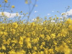 어쩌면 누군가를 사랑하는 것보다 더 어려운 게 나 자신을 사랑하는 거야