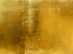 행크코너 반딧불이가 빛을 비춘 곳에는