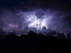 귀한 집 금지옥엽은 이혼을 원해