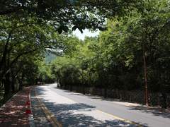 "역시"라는 배움