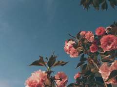 끝도 없이 반복되는 지금 길을 잃어 헤메고 있지만