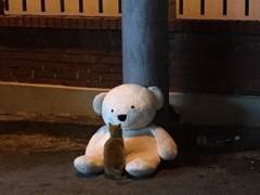 비틀즈 곰인형과 고앵