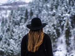 판 - 할로윈 로그