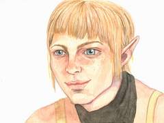 드래곤에이지 끄적거림1