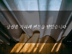 [보쿠아카] 당신을 가리려 커튼을 달았습니다
