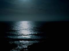 [손더게/최윤화평일도]깨어나보니 당신을 잃어버렸다 - 그 이후