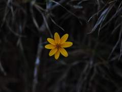 그제서야 밀려왔다