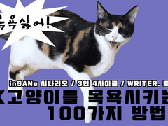 inSANe Scenario :: 고양이를 목욕시키는 100가지 방법