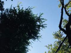 2019년 7월 첫째주 일상