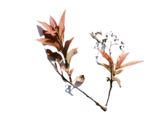 [중혁독자/중독] 세계의 독자 3