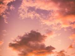 [와카세오] 좋아해요. 선배를