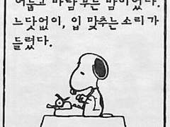 [사쿠사토] 개 두마리의 밤