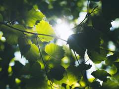 [청아라] Sunny Side Up!