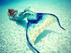 [혁엔]Caribbean Blue