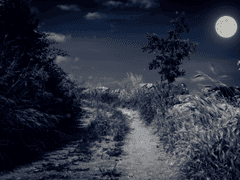 당신이 없는 세계 : 라더