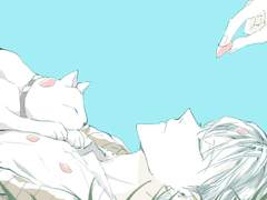 적왕사 백업3(+칼리플란)