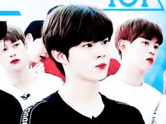 빛 앞에 속수무책인 부나방