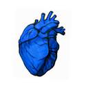 파란 심장