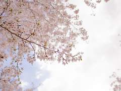 (단) [민규X현선]