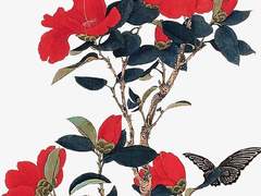 화무십일홍 2부(完)