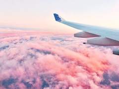 [뷔진] 핑크 아일랜드 10 (完)