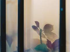 우리를 위한 각서