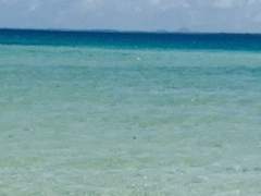 [Free! 프리/드림] All is on vacation!