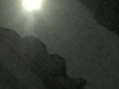 [이누야사/드림] 여주와 셋쇼마루 드림