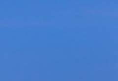 [코난/드림] 아가씨와 키드