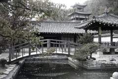 도화각시전 十九話