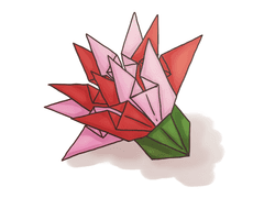 붉은색의 당신에게 카네이션을