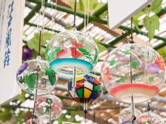 [부젠사니] 바람보다 빨리 울리는