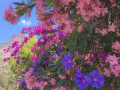 Style (2018. 07. 06)