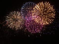 [사쿠니노] はなび