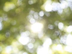 [우장]일하애인