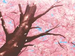 ⓓ-① '사계를 걷는 토끼' 미리보기 (1) 봄의 햇빛길