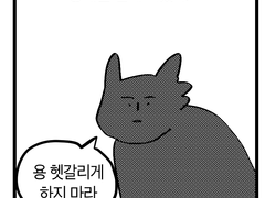 케일님이 고양이가 되었다는 만화.